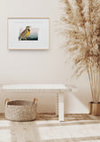 Oregon State Bird Flora & Fauna Art Print - Art Print - Flora & Fauna