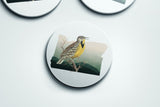 Oregon State Bird Flora & Fauna Coaster Set - Coaster Set - Flora & Fauna