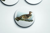 Pennsylvania State Bird Flora & Fauna Coaster Set - Coaster Set - Flora & Fauna