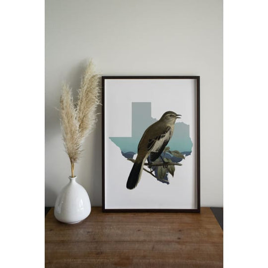 Texas state bird | Mockingbird - State Bird