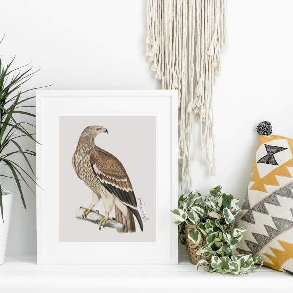 Afghanistan national bird | Golden Eagle - 5x7 Unframed Print - Birds