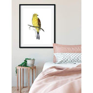 Alabama state bird - State Bird