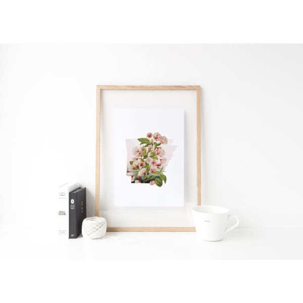 Arkansas Apple Blossom | State Flower Series - 5x7 Unframed Print - State Flower