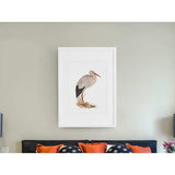 Belarus national bird | White Stork - 5x7 Unframed Print - Birds