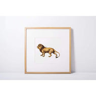 Bulgaria national animal | Lion - Animals