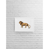 Bulgaria national animal | Lion - 5x7 Unframed Print - Animals