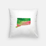 Connecticut state watercolor - Pillow | Square / Pink + Green - State Watercolor