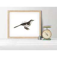 Florida state bird - 5x7 Unframed Print - State Bird