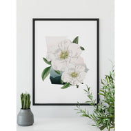 Georgia Cherokee Rose | State Flower Series - State Flower