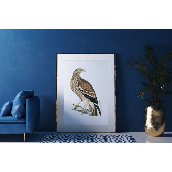 Germany national bird | Golden Eagle - Birds