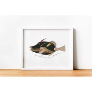 Hawaii state fish - 5x7 Unframed Print - State Fish