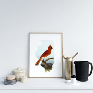 Illinois Cardinal | state bird series - 5x7 Unframed Print - State Bird