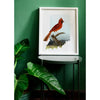 Indiana Cardinal | state bird series - State Bird