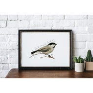 Maine state bird - State Bird