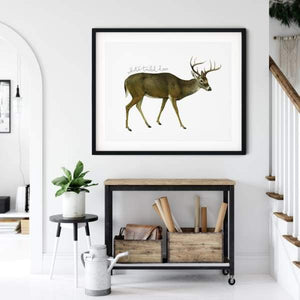 Michigan state animal | White-tailed Deer - 5x7 Unframed Print - State Animal