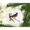 Michigan state bird | Robin - Ornament - State Bird