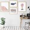 Nantucket Collection | Wicked Whale art print - Prints