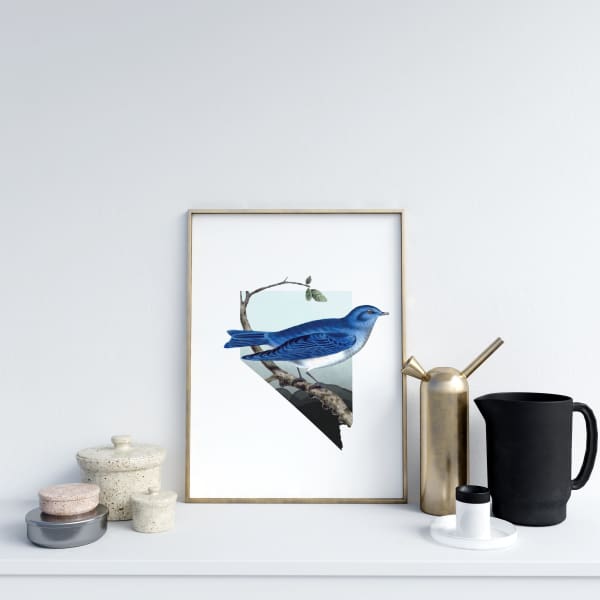Nevada Mountain Bluebird | state bird series - 5x7 Unframed Print - State Bird