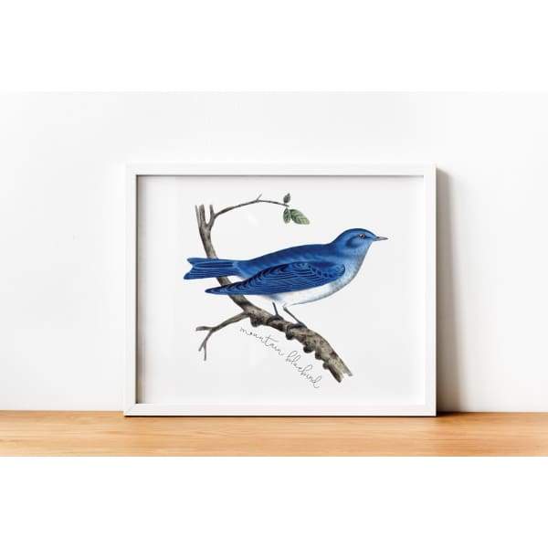 Nevada state bird | Mountain Bluebird - 5x7 Unframed Print - State Bird