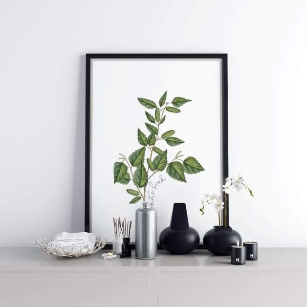 New Hampshire state tree | White Birch | wanderlust gifts and home decor
