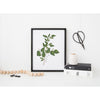 New Hampshire state tree | White Birch | wanderlust gifts and home decor