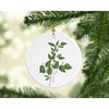 New Hampshire state tree | White Birch - Ornament - State Tree