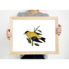New Jersey state bird | Eastern Goldfinch - 5x7 Unframed Print - State Bird