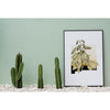 New Mexico Yucca | State Flower Series - State Flower