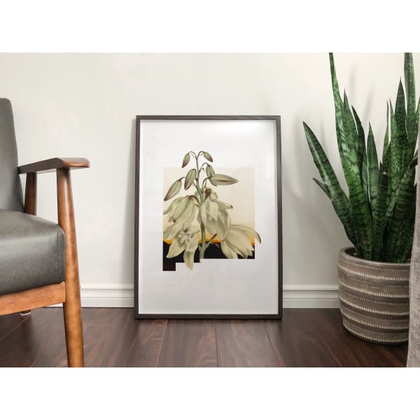 New Mexico Yucca | State Flower Series - 5x7 Unframed Print - State Flower