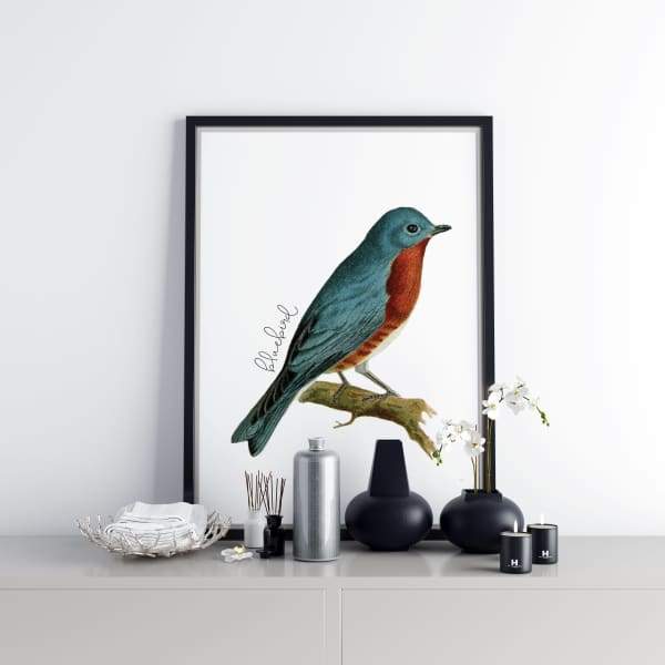 New York state bird | Eastern Bluebird - State Bird