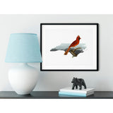 North Carolina Cardinal | state bird series - 5x7 Unframed Print - State Bird