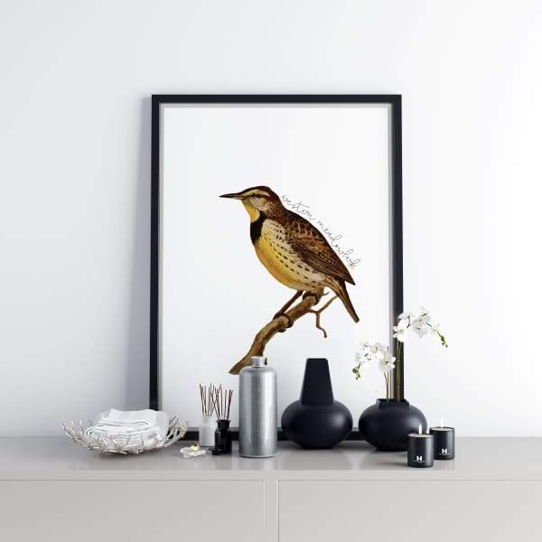North Dakota state bird | Western Meadowlark - 5x7 Unframed Print - State Bird