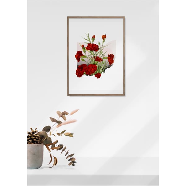Ohio Red Carnation | State Flower Series - State Flower
