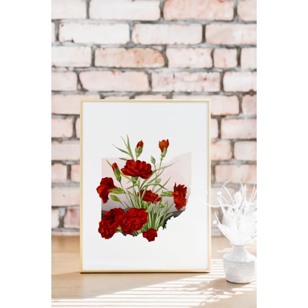 Ohio Red Carnation | State Flower Series - State Flower