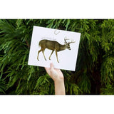 Ohio state animal | White-tailed deer - 5x7 Unframed Print - State Animal