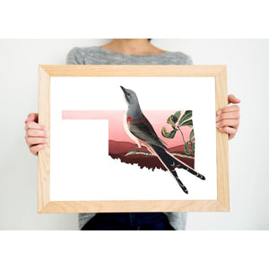 Oklahoma Scissor-tailed Flycatcher | state bird series - 5x7 Unframed Print - State Bird