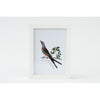 Oklahoma state bird | Scissor-tailed Flycatcher - 5x7 Unframed Print - State Bird