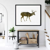 Pennsylvania state animal | White-tailed Deer - 5x7 Unframed Print - State Animal