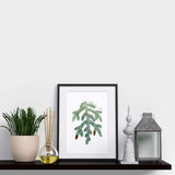 Pennsylvania state tree | Eastern Hemlock - 5x7 Unframed Print - State Tree