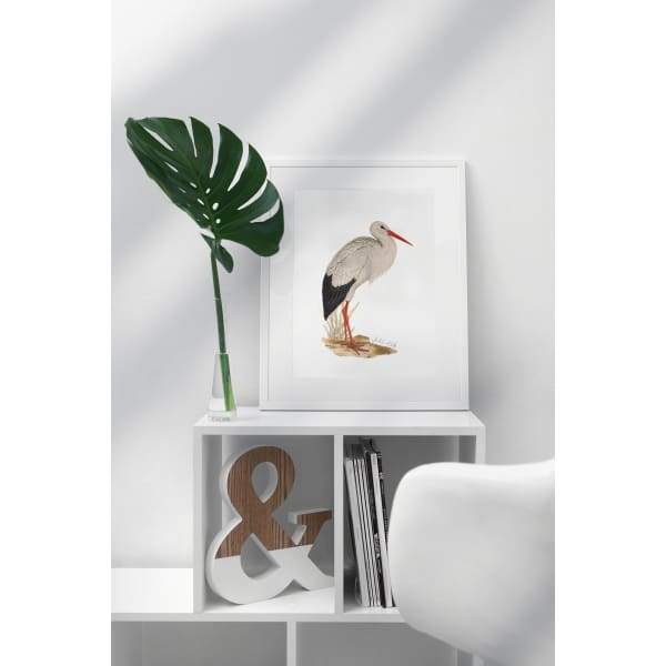 Poland national bird | White Stork - 5x7 Unframed Print - Birds