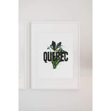 Quebec flower emblem | Iris - Flower Emblem