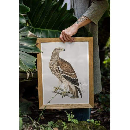 Scotland national bird | Golden Eagle - Birds