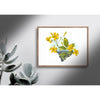 South Carolina Yellow Jessamine | State Flower Series - State Flower