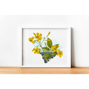 South Carolina Yellow Jessamine | State Flower Series - 5x7 Unframed Print - State Flower