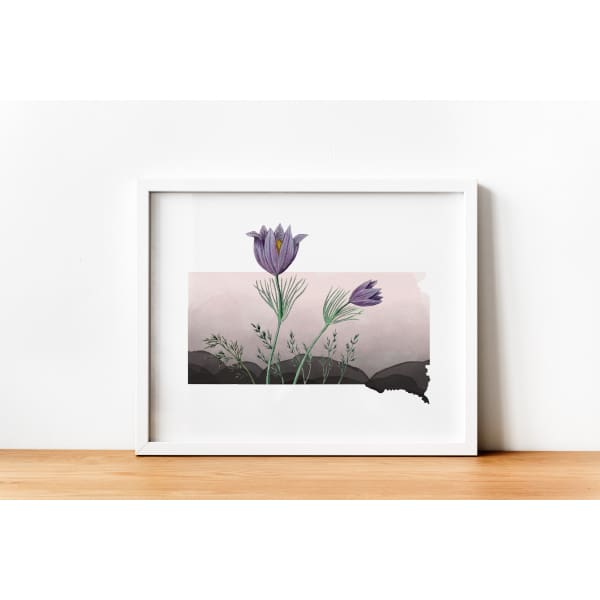 South Dakota Pasque Flower | State Flower Series - 5x7 Unframed Print - State Flower