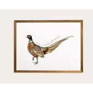 South Dakota state bird | Ring-Necked Pheasant - State Bird