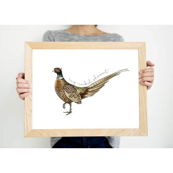 South Dakota state bird | Ring-Necked Pheasant - 5x7 Unframed Print - State Bird