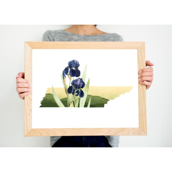 Tennessee Iris | State Flower Series - 5x7 Unframed Print - State Flower