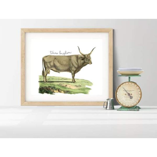 Texas state animal | Texas Longhorn - 5x7 Unframed Print - State Animal