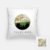 Tulacingo Mexico city skyline with vintage Tulacingo map - Pillow | Square - City Map Skyline